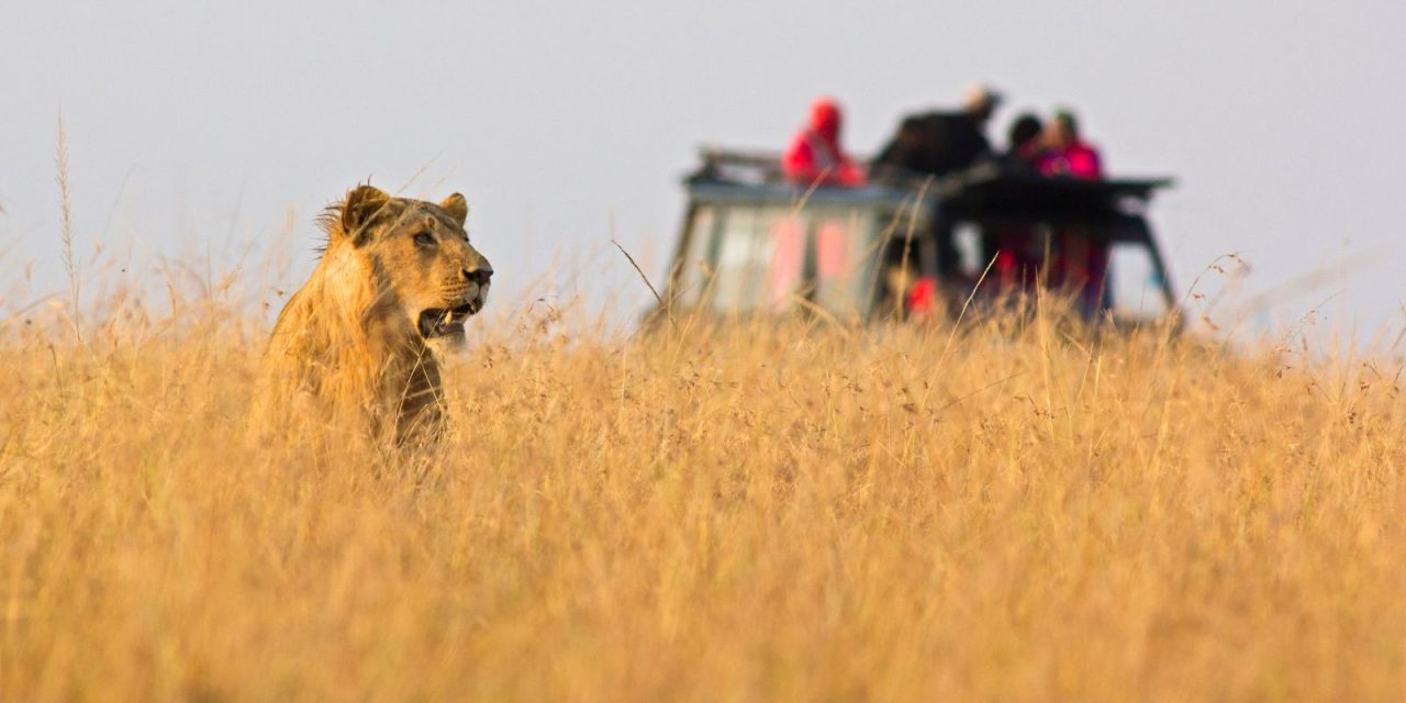 12D11N Wild Wonders of Kenya & Tanzania
